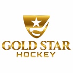 Международное хоккейное агентство Gold Star выбрало «РосКо» для решения миграционных вопросов в России