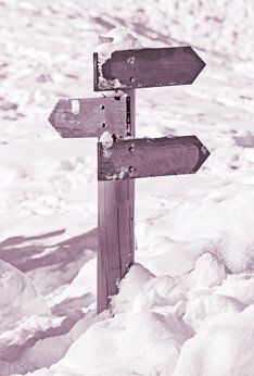 Как обменять иностранные водительские права на российские? Как обменять иностранные водительские права на российские?