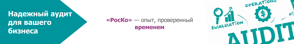 АУДИТ - Аудиторские услуги (26)