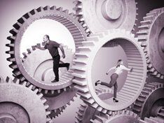 Мигрантов обяжут работать по специальности