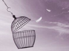 Реальные сроки лишения свободы за налоговые преступления