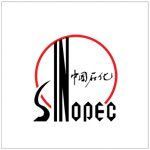 Корпорация Sinopec доверила проведение аудита своего российского представительства компании «РосКо»