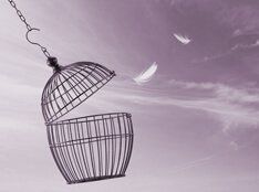 Упрощенный порядок выезда детей за границу