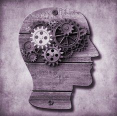 Как подать уведомление о втором гражданстве либо ВНЖ? Как подать уведомление о втором гражданстве либо ВНЖ?