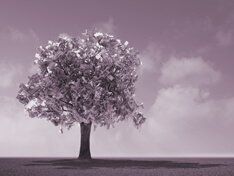 Пособие по безработице в Москве: как получить? (2 ч.) Пособие по безработице в Москве: как получить? (2 ч.)