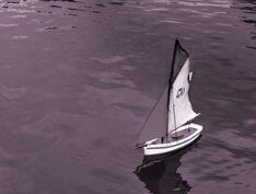 Вас затопили соседи: что делать? Вас затопили соседи: что делать?