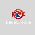 СПЕЦИАЛИСТЫ «РОСКО» ОКАЗАЛИ АУДИТОРСКИЕ УСЛУГИ КОМПАНИИ “LEDEGROOVE”